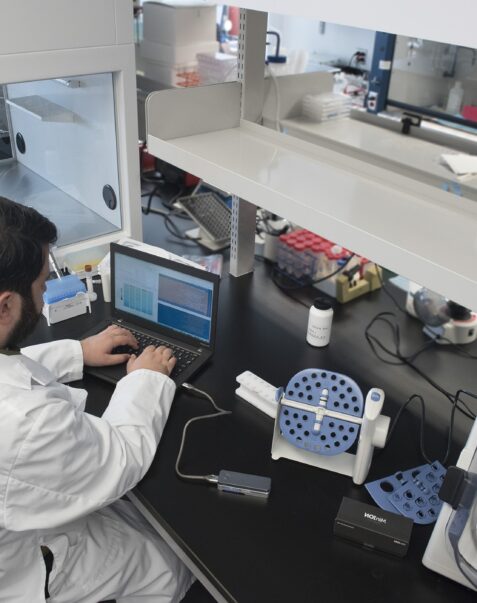 La vie scientifique à l’Institut