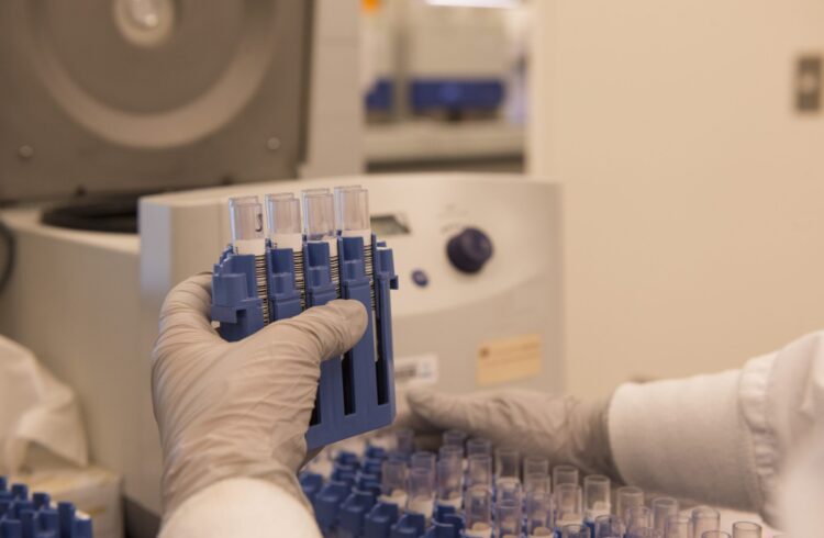 Empêcher les cellules de vieillir : la découverte de Gerardo Ferbeyre et Sebastian Igelmann