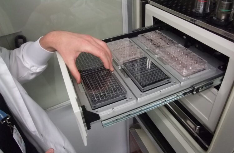 Des chercheurs de l’Institut obtiennent une subvention d’un million de dollars sur 5 ans