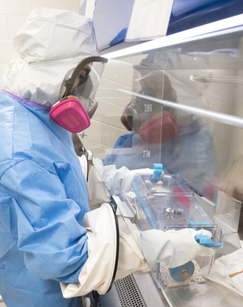 Programme microbiome