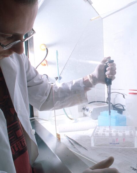 Rapatriement des cerveaux Program