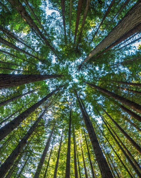 Programme Ensemble contre le Cancer