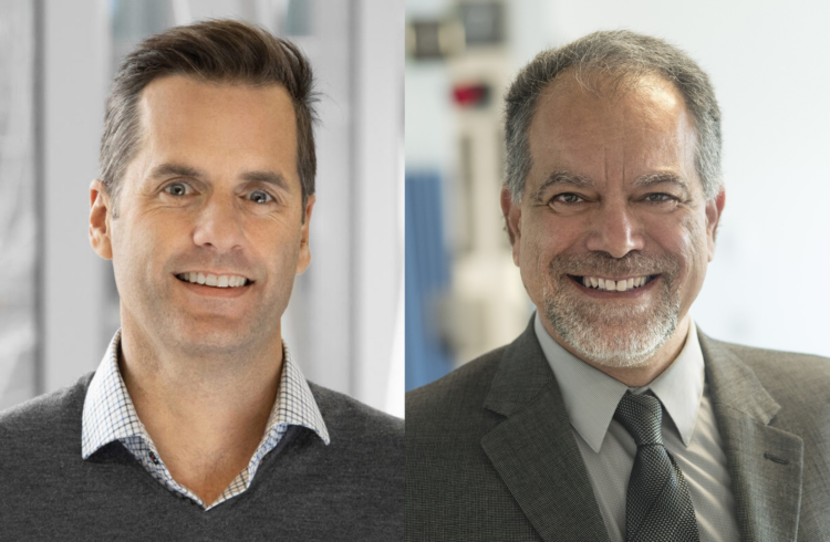 Deux chercheurs membres parmi les plus cités au monde