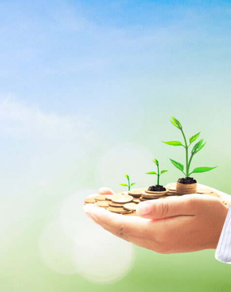 Webinaires et conférences