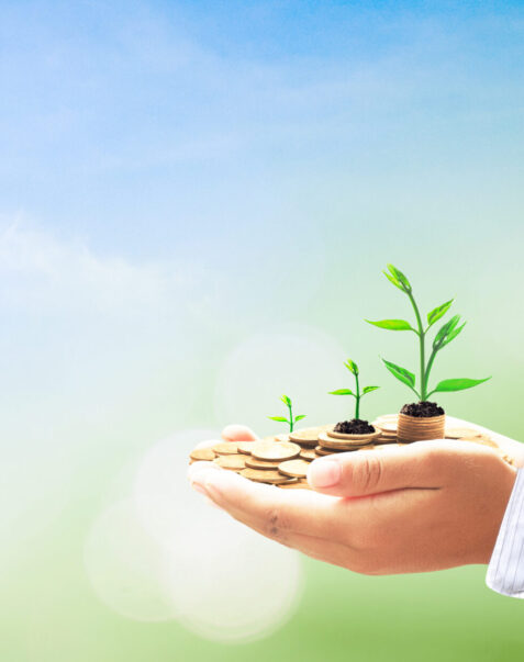 Webinars and conferences