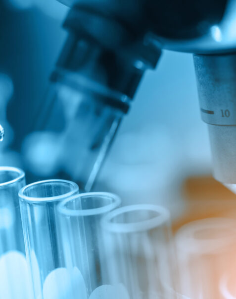 Conférence sur le cancer du pancréas