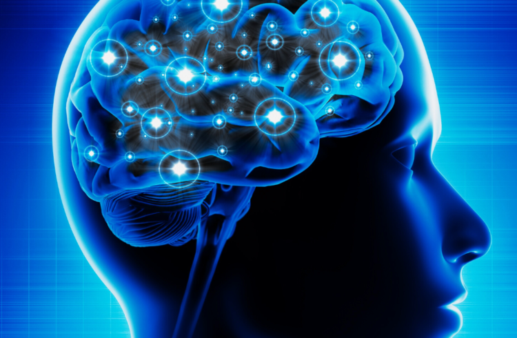 Pleins feux sur deux de nos chercheurs membres