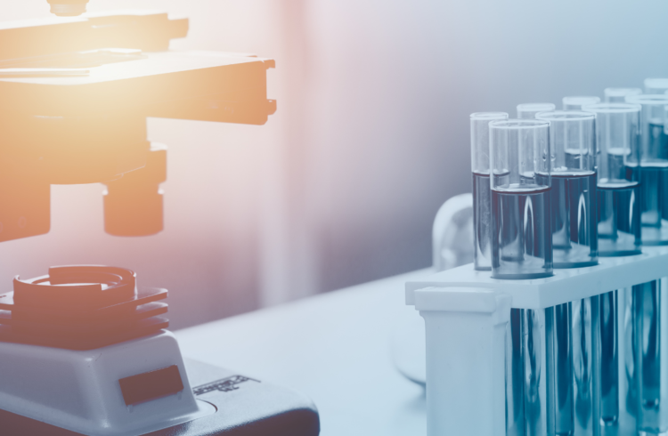 John Stagg : New article published