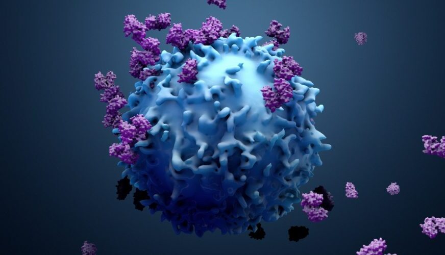 shutterstock_1354971455-1-888x500